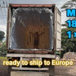 ready to ship to Europe