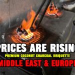 Coconut Charcoal Briquette