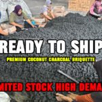 coconut charcoal briquette