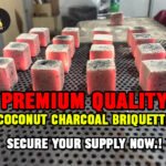 Coconut Charcoal Briquette