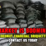 Coconut Charcoal Briquette