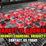 Coconut Charcoal Briquette