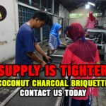 Coconut Charcoal Briquette
