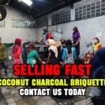 Coconut Charcoal Briquette