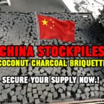 Coconut Charcoal Briquette