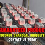 Coconut Charcoal Briquette Factory