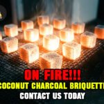 Coconut Charcoal Briquette