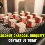 Coconut Charcoal Briquette