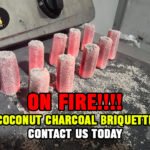 Coconut Charcoal Briquette