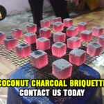 Coconut Charcoal Briquette