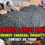 Coconut Charcoal Briquette Factory
